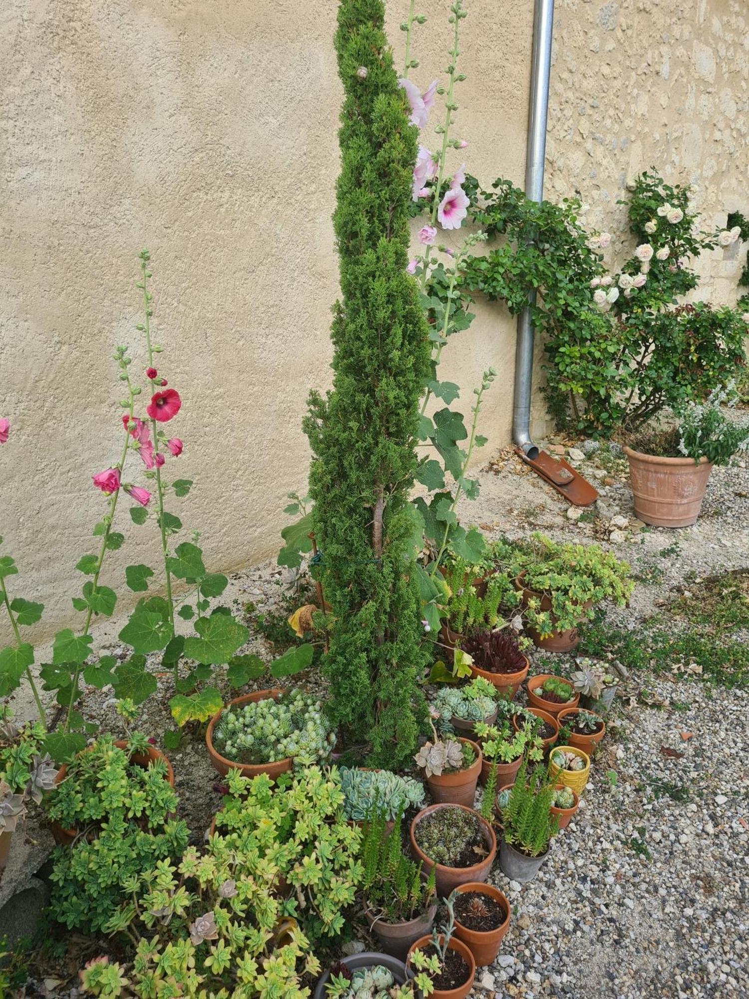 Charmant Logement A La Campagne Gazaupouy المظهر الخارجي الصورة